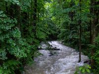 Reißender Steinbach bei Aschau-Hammerbach